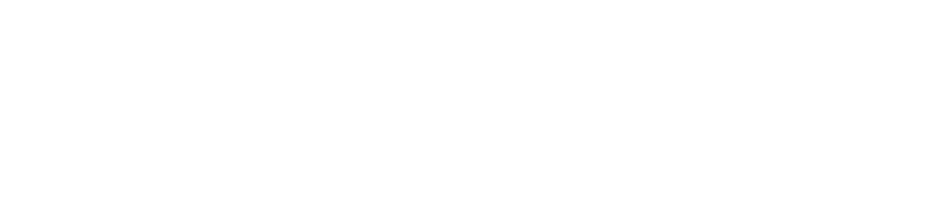 Logo Top Speed